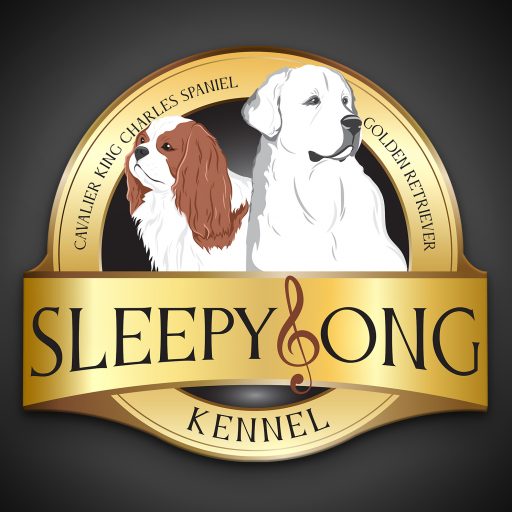 SleepySong – Golden Retrievers